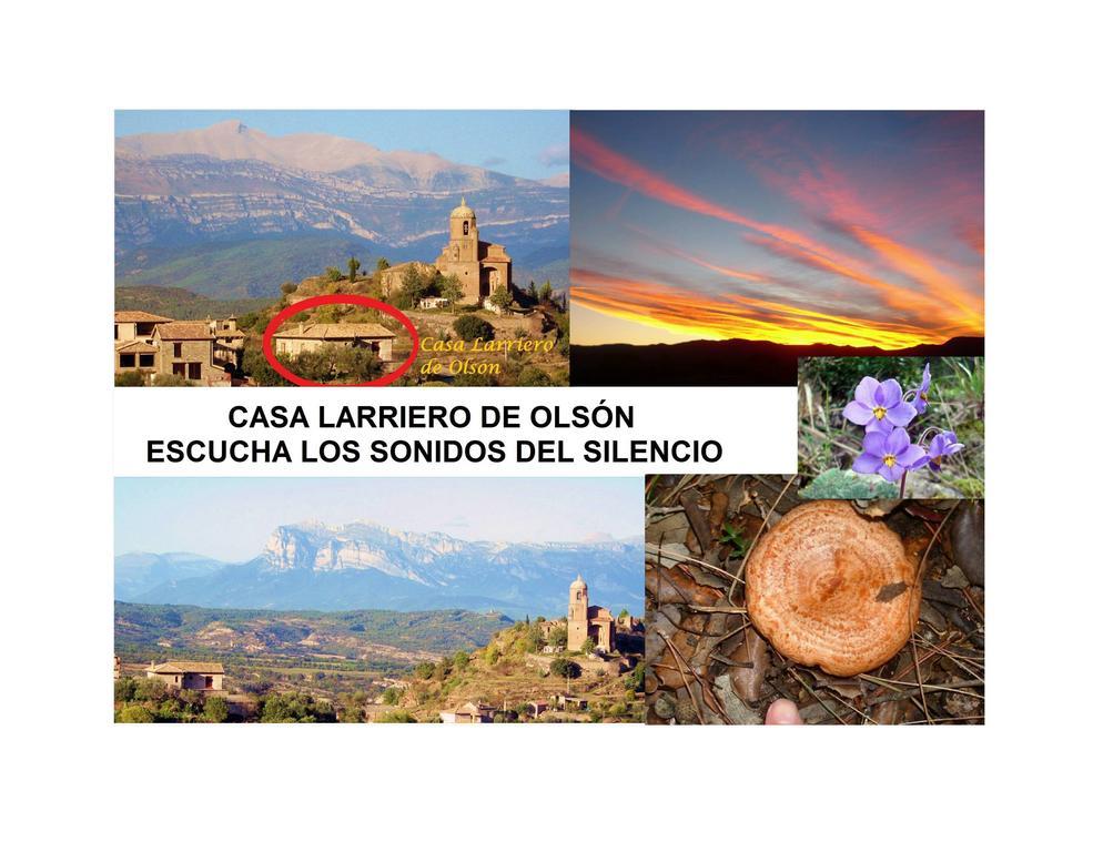Casa Larriero De Olson Guest House Exterior foto